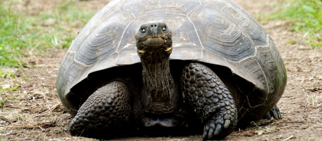 6-cedric-fox-1tIkmgkpfNQ-unsplash-1500